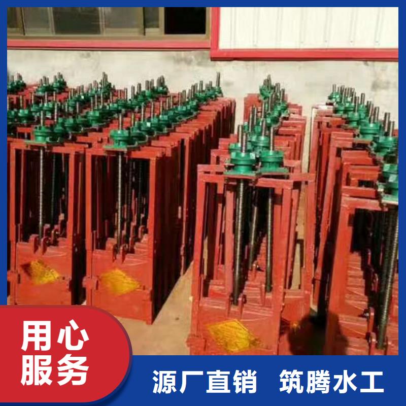 沖砂閘鑄鐵閘門型號齊全