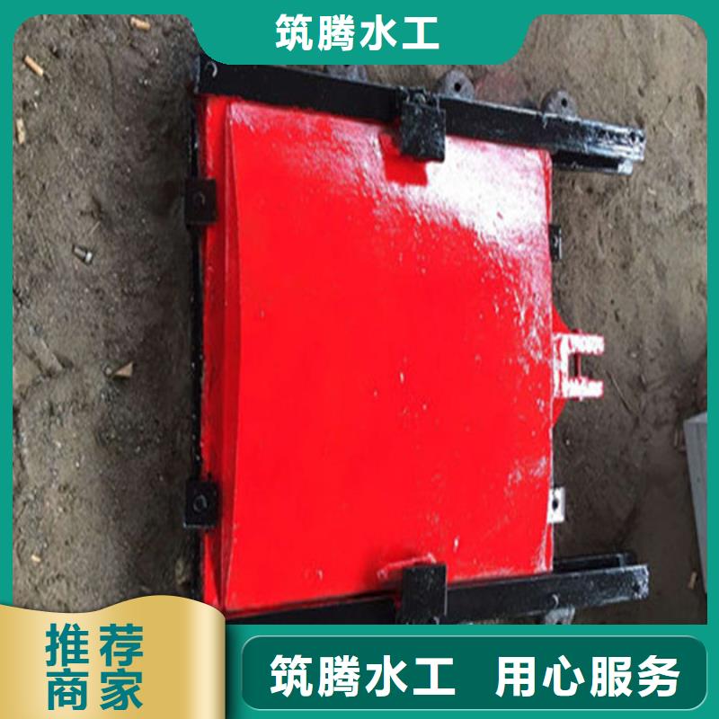 鑲銅鑄鐵閘門廠家直營