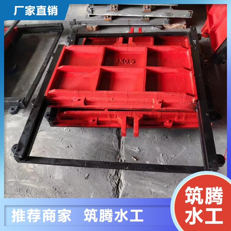 沖砂閘鑄鐵閘門型號齊全