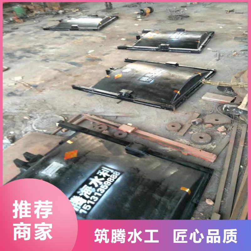 雨污分流閘門廠家直營