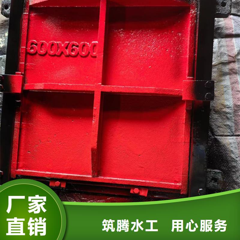 鑲銅鑄鐵閘門廠家直營
