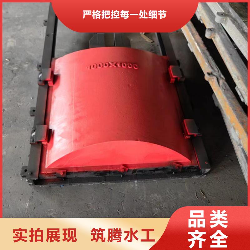 雨污分流閘門廠家直銷
