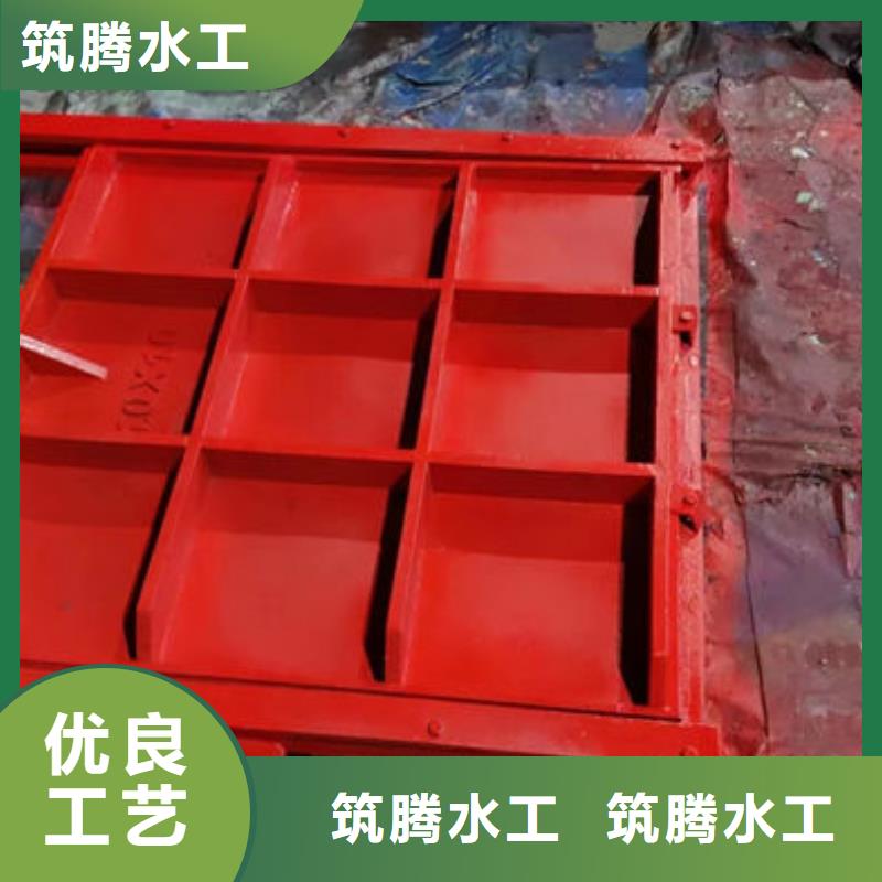 雨污分流閘門廠家直營