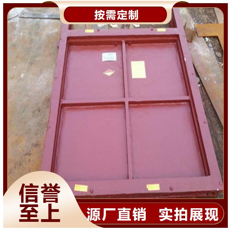機閘一體式閘門型號齊全