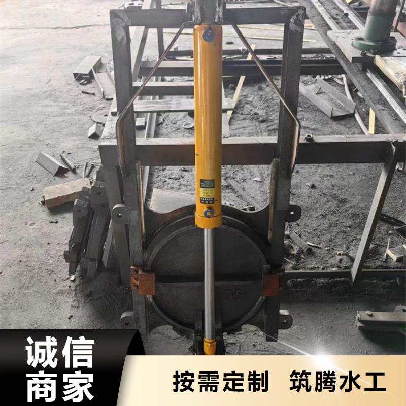 平板鑄鐵閘門型號齊全