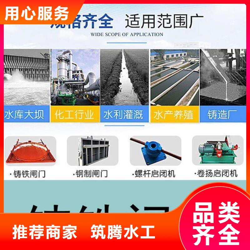 雙向鑄鐵閘門工廠直供