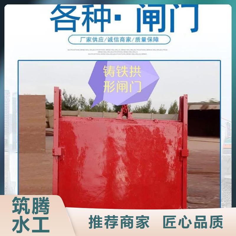 單向止水鑄鐵閘門型號(hào)齊全