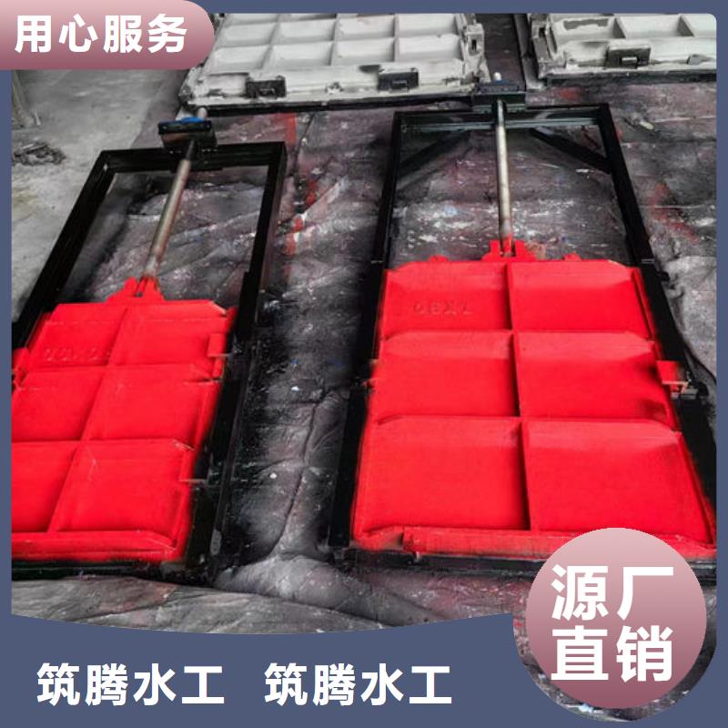 單向止水鑄鐵閘門型號(hào)齊全