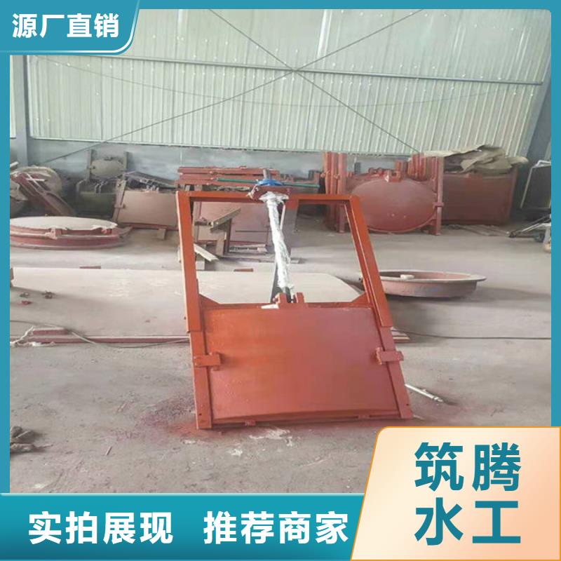 機閘一體式閘門型號齊全