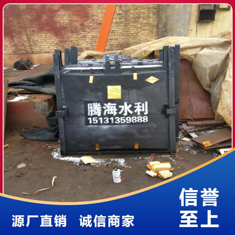 沖砂閘鑄鐵閘門型號齊全