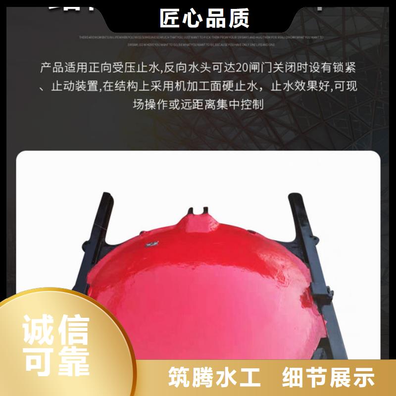 雨污分流閘門廠家直銷