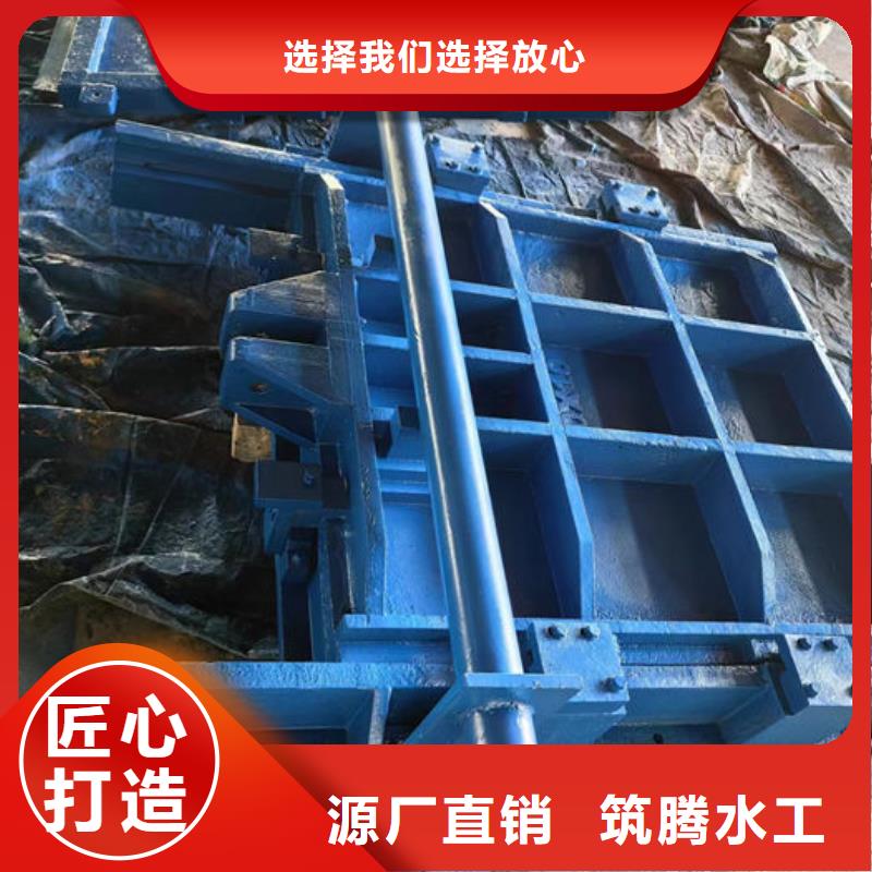 雨污分流閘門廠家直營