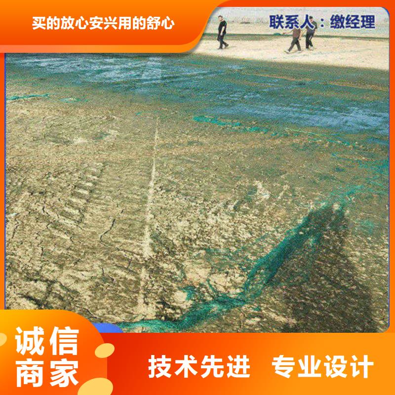 火车运煤结壳剂实力厂家