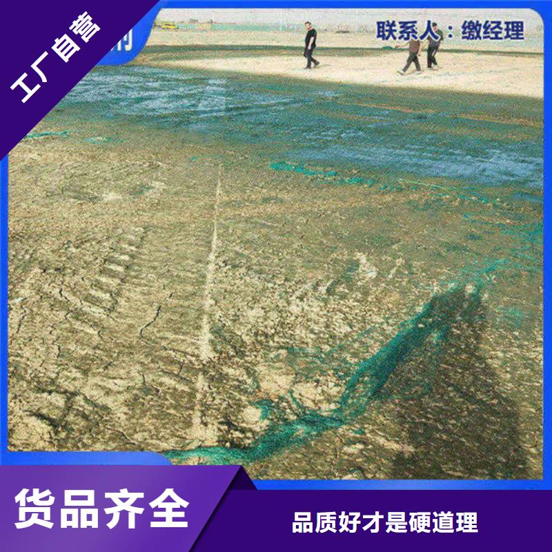 生物酶降尘剂实力生产厂家