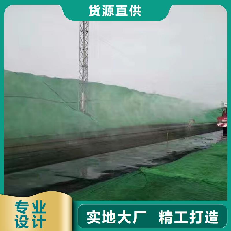 道路生物型降尘剂实力生产厂家